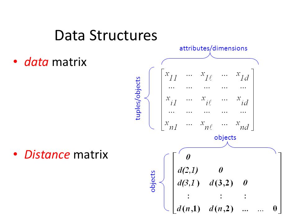 Data Structures data matrix Distance matrix attributes/dimensions
