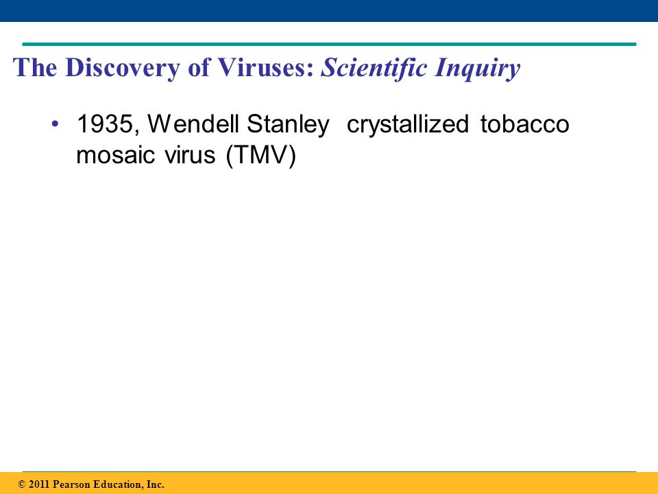 The Discovery of Viruses: Scientific Inquiry