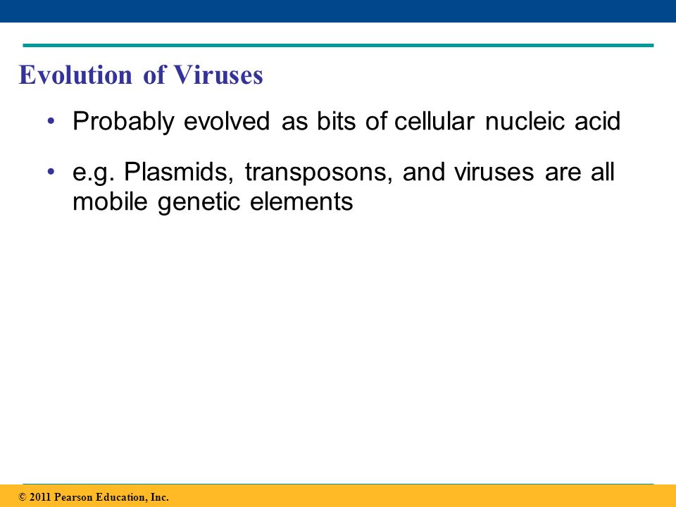 Evolution of Viruses Probably evolved as bits of cellular nucleic acid