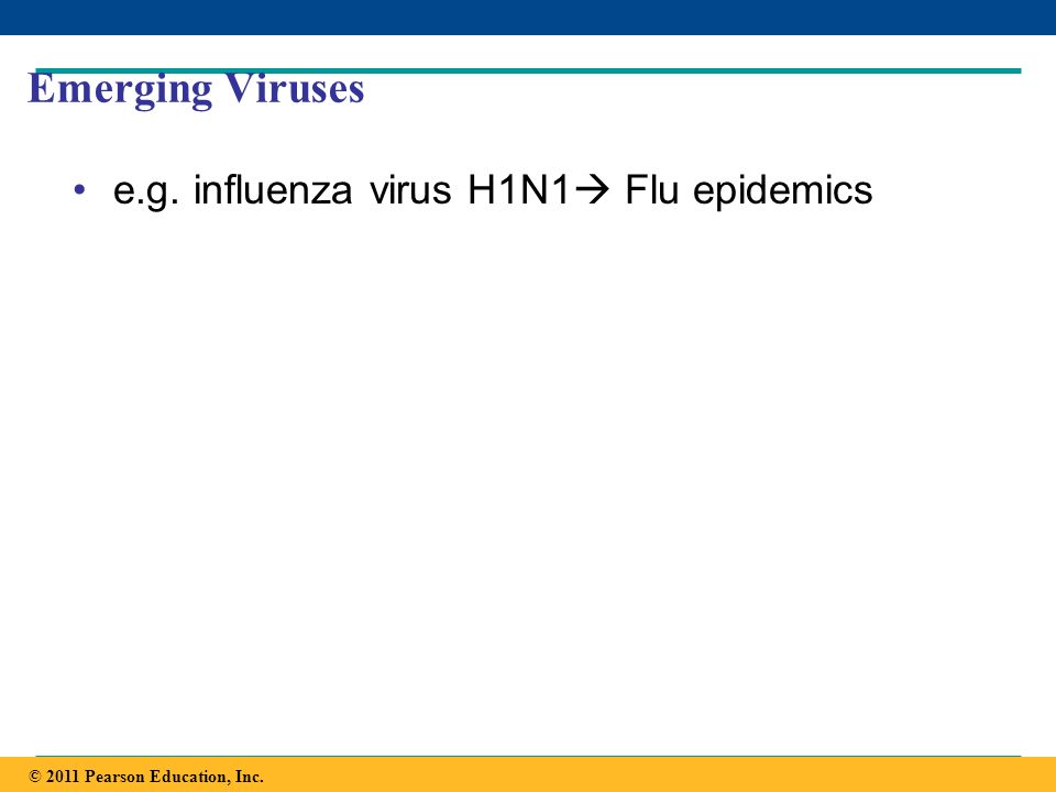 Emerging Viruses e.g. influenza virus H1N1 Flu epidemics