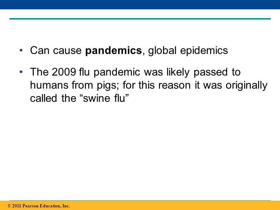 Can cause pandemics, global epidemics