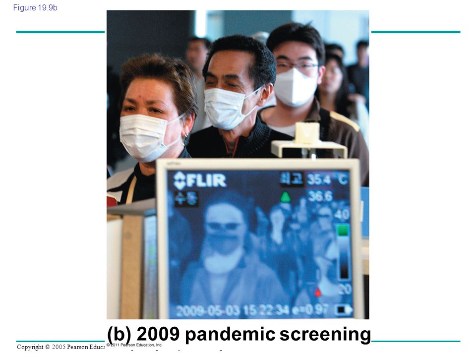 (b) 2009 pandemic screening