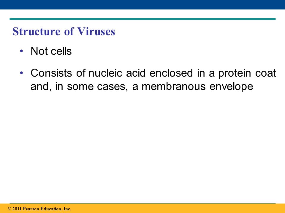 Structure of Viruses Not cells