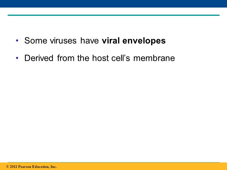 Some viruses have viral envelopes
