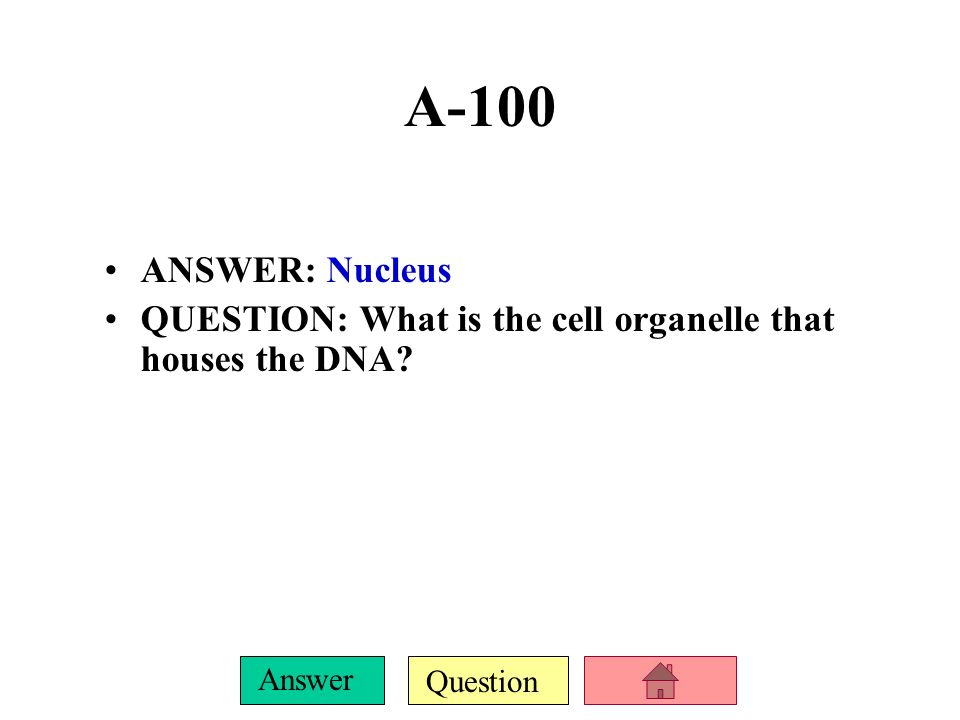 A-100 ANSWER: Nucleus QUESTION: What is the cell organelle that houses the DNA