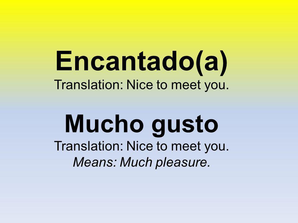 Translation: Nice to meet you.