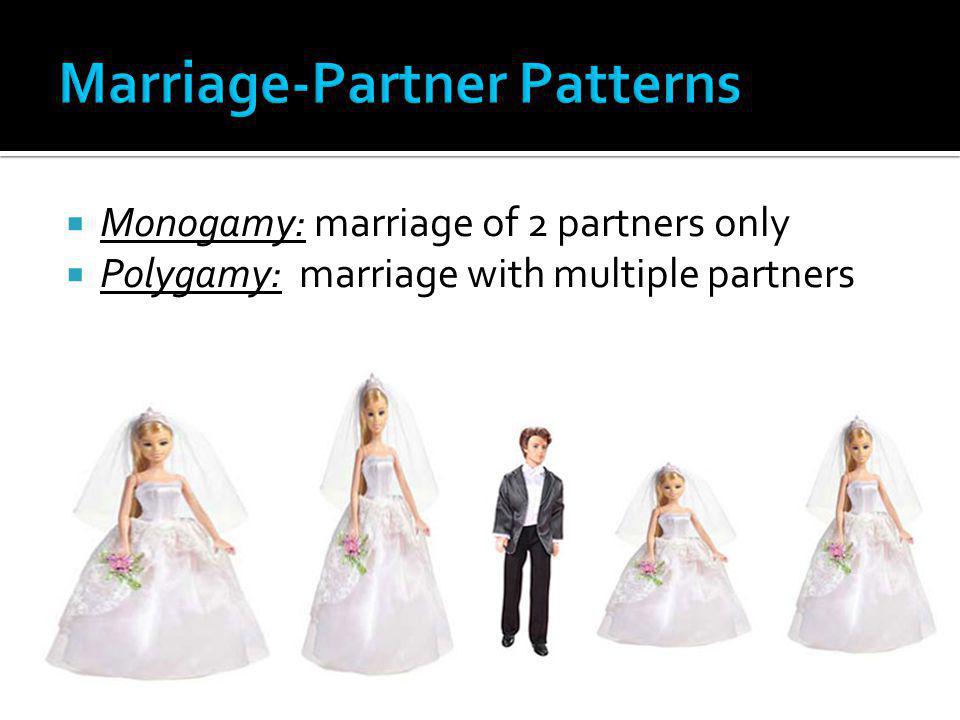 Marriage-Partner Patterns
