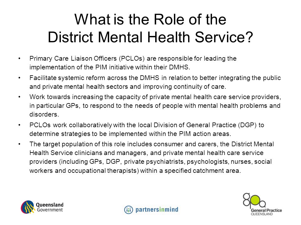 What is the Role of the District Mental Health Service