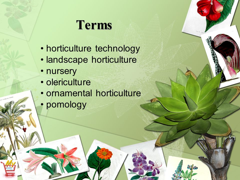 What is horticulture and landscape technology