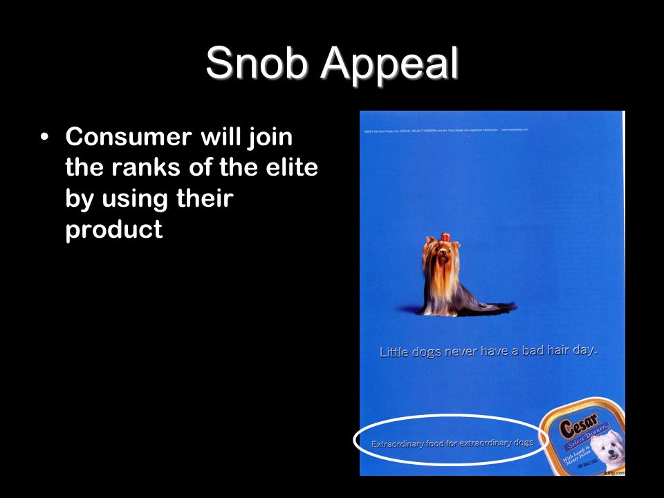 75+ Snob Appeal Advertising