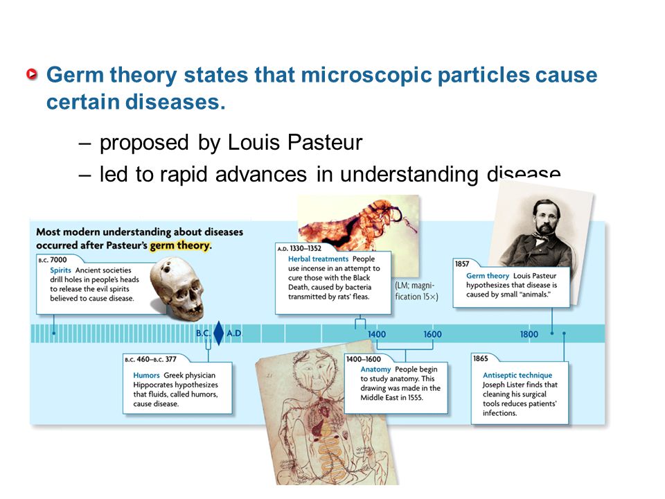 Germ theory states that microscopic particles cause certain diseases.
