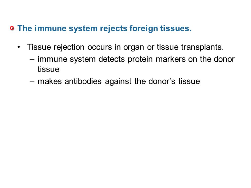 The immune system rejects foreign tissues.