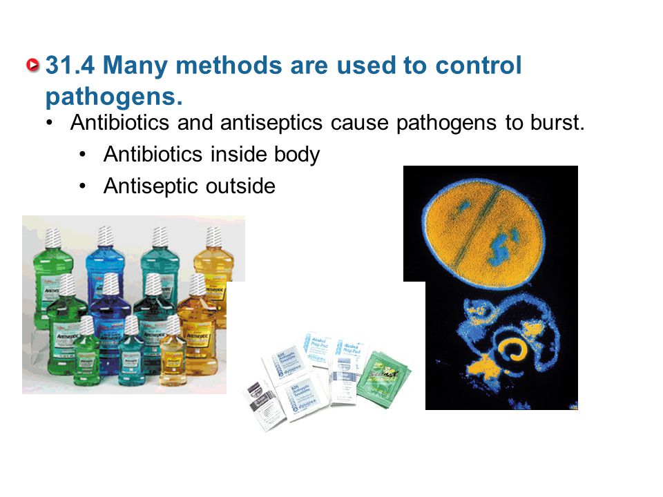 31.4 Many methods are used to control pathogens.