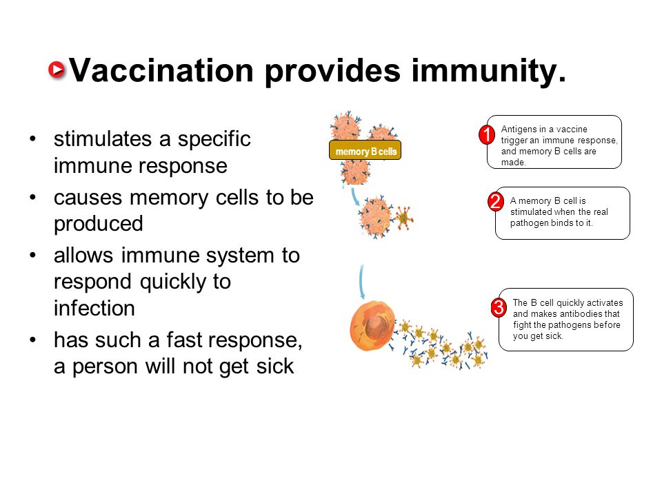 Vaccination provides immunity.