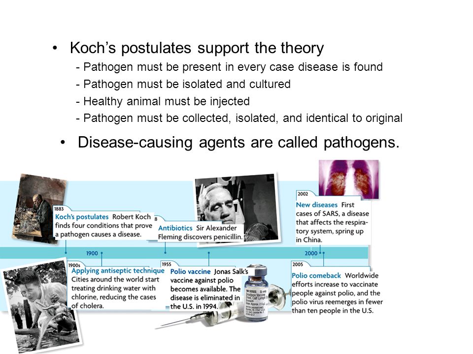 Koch’s postulates support the theory