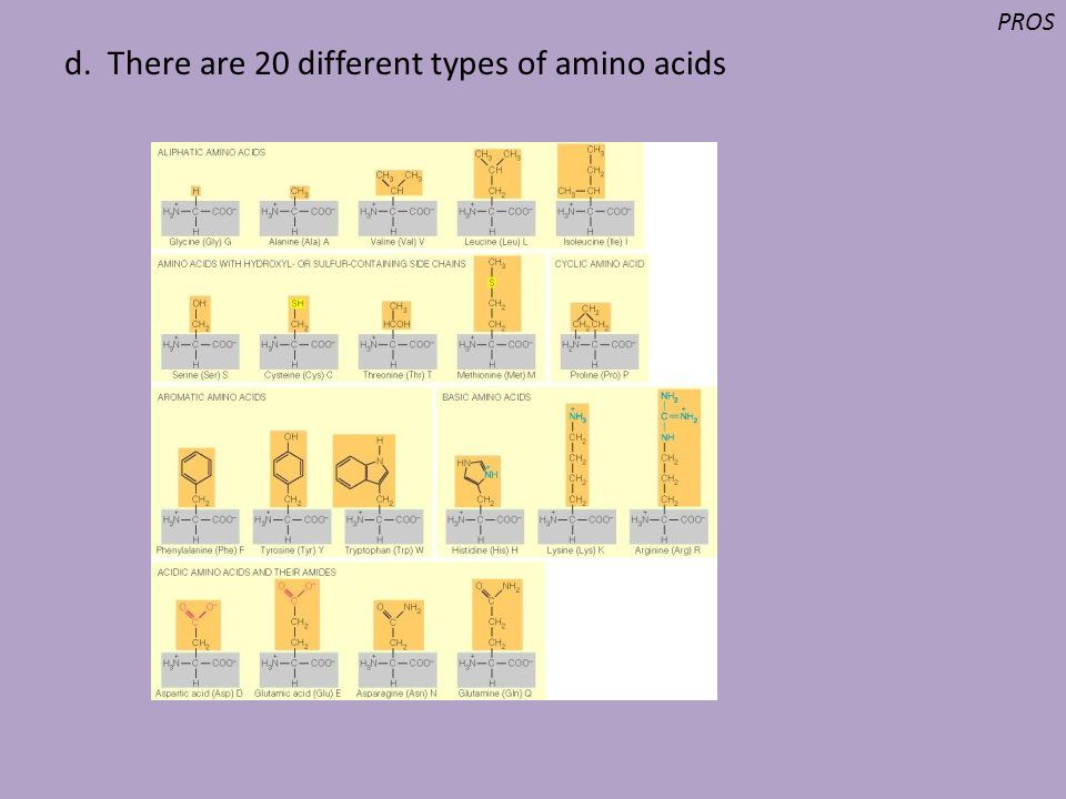 d. There are 20 different types of amino acids