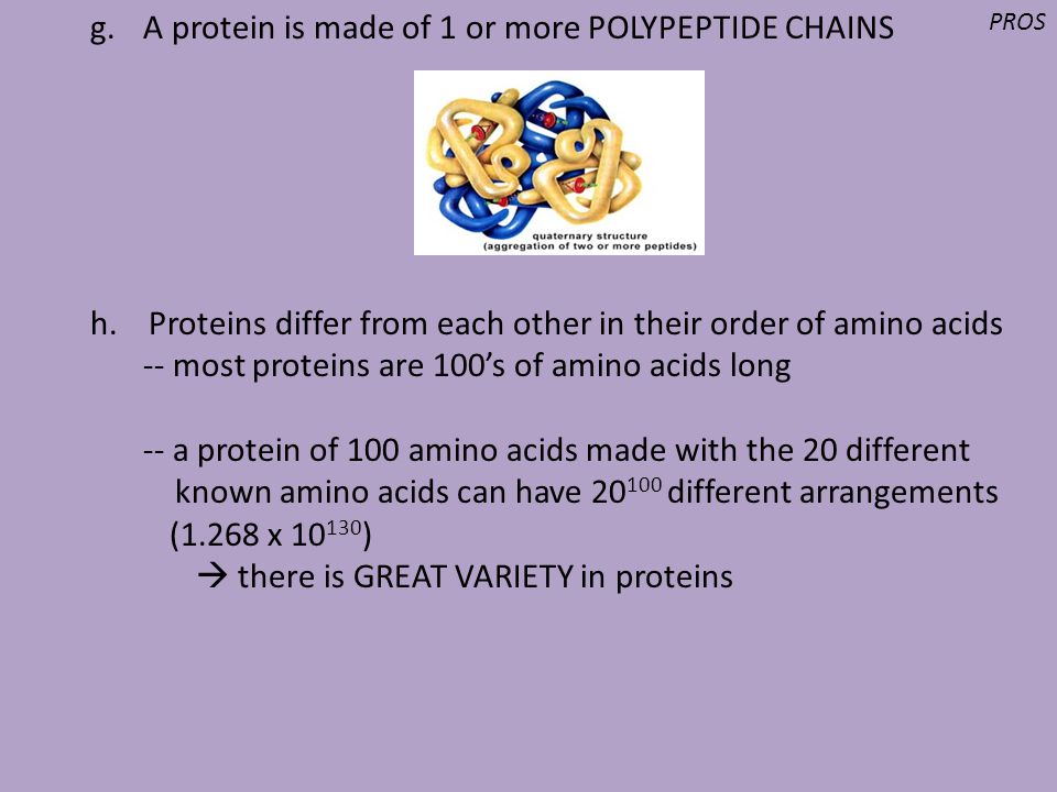 A protein is made of 1 or more POLYPEPTIDE CHAINS