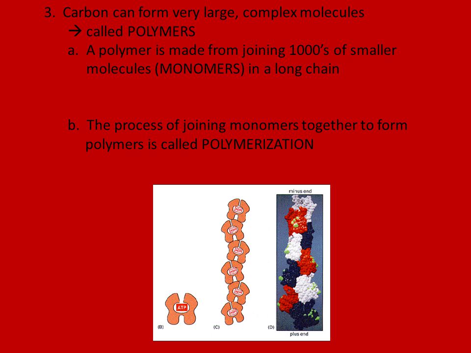 3. Carbon can form very large, complex molecules