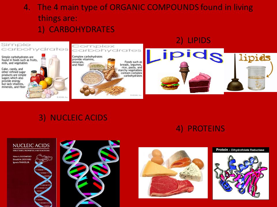 The 4 main type of ORGANIC COMPOUNDS found in living