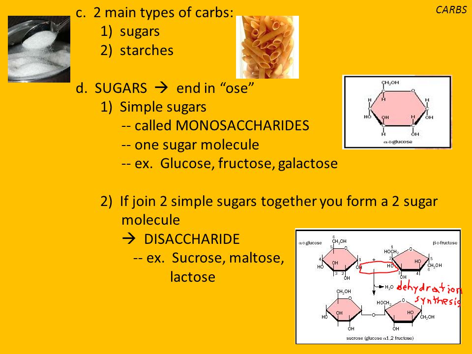 -- called MONOSACCHARIDES -- one sugar molecule