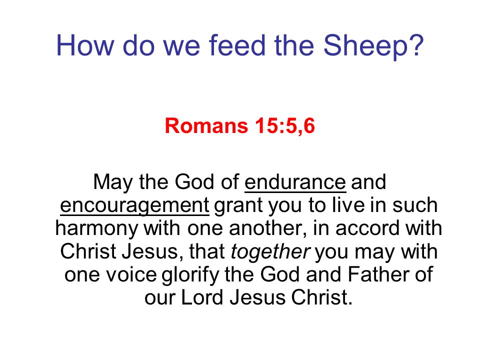 How do we feed the Sheep Romans 15:5,6