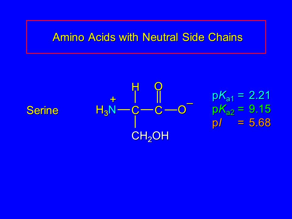 Proteins and Amino Acids - ppt download