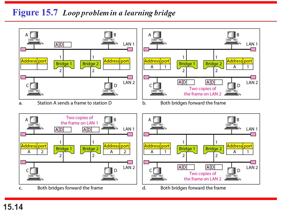 Figure 15.7 Loop problem in a learning bridge