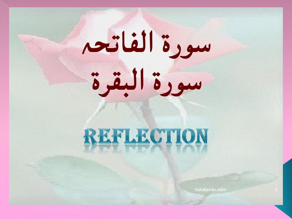 Reflection nurulquran.com