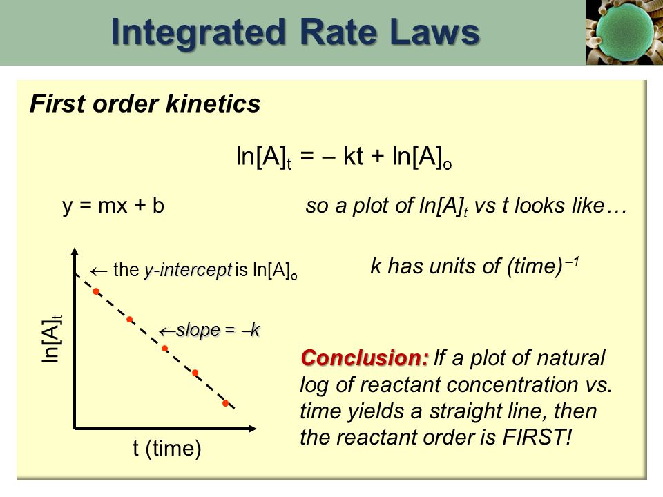 Chapter 15 Chemical Kinetics The Rates Of Chemical Reactions Ppt Download