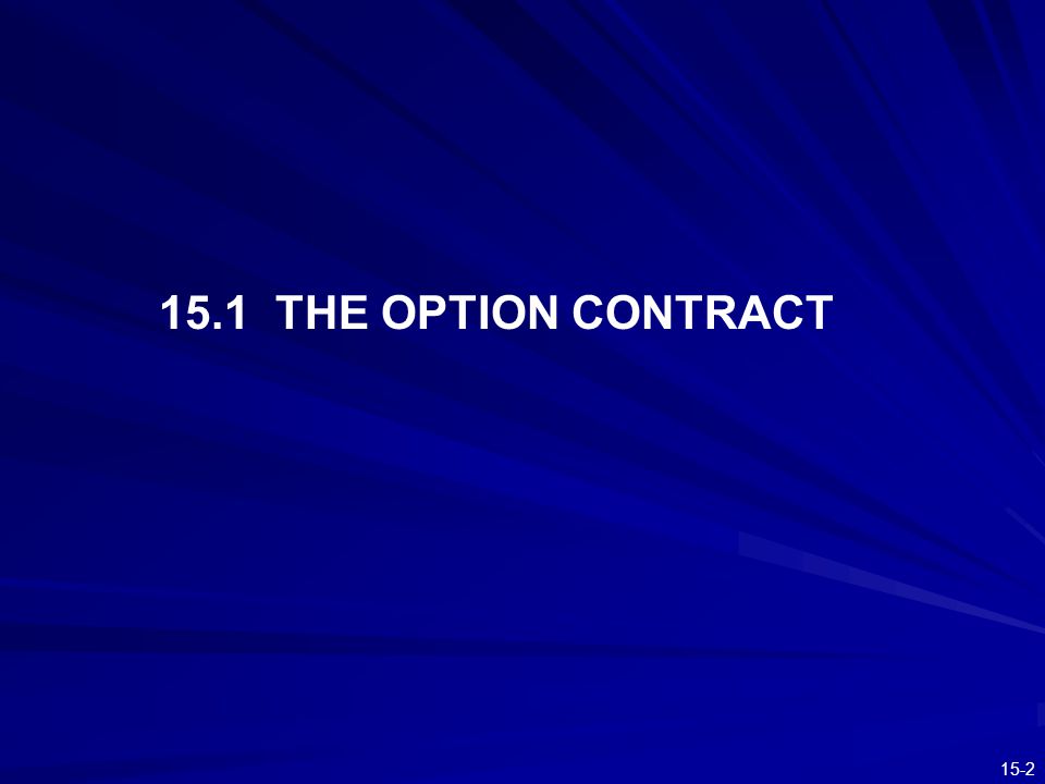 15.1 THE OPTION CONTRACT