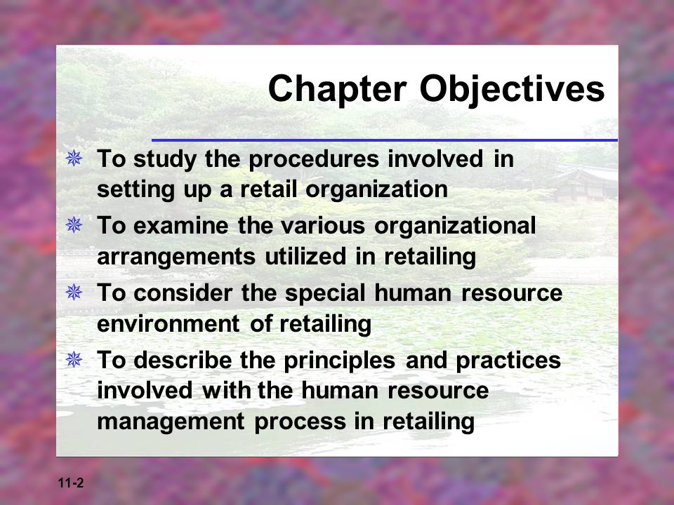 Chapter Objectives To study the procedures involved in setting up a retail organization.