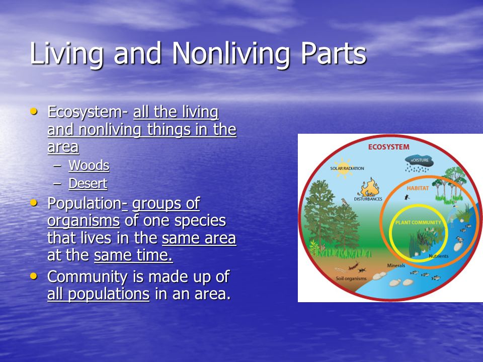 Living and Nonliving Parts