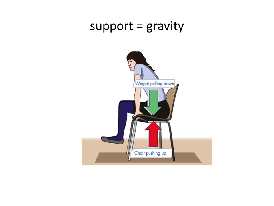 support = gravity