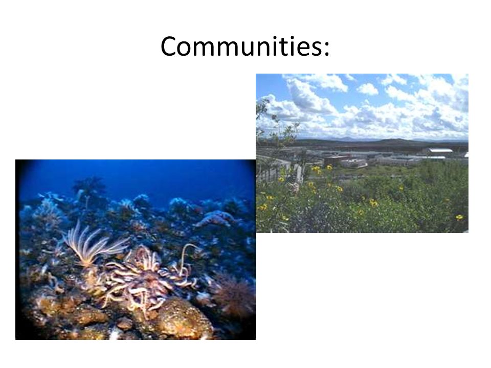 Communities: