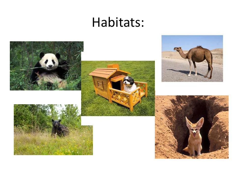 Habitats:
