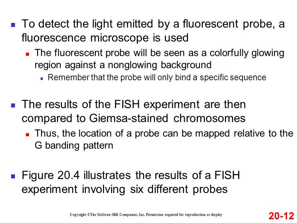 To detect the light emitted by a fluorescent probe, a fluorescence microscope is used