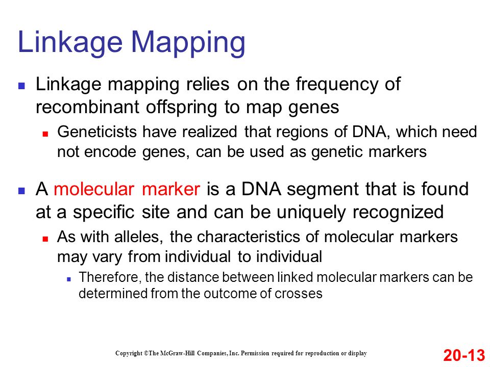 Linkage Mapping Linkage mapping relies on the frequency of recombinant offspring to map genes.