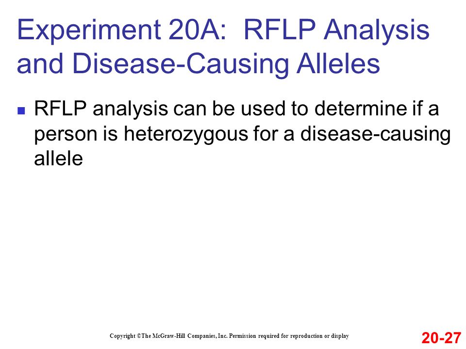 Experiment 20A: RFLP Analysis and Disease-Causing Alleles