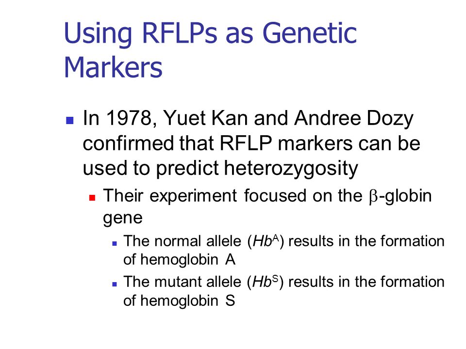 Using RFLPs as Genetic Markers