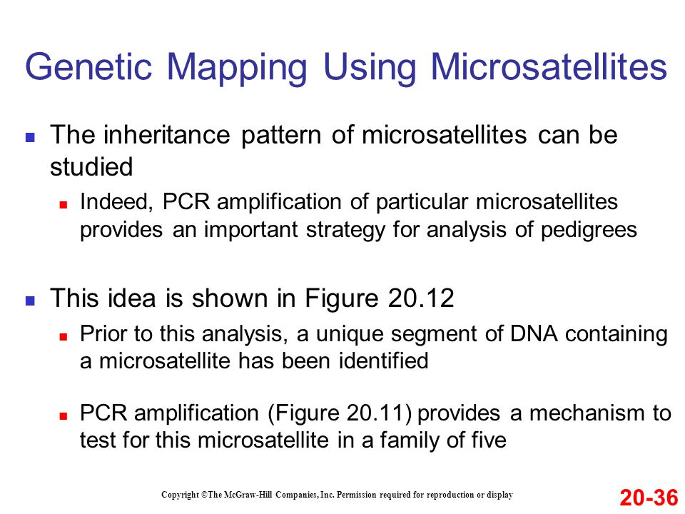 Genetic Mapping Using Microsatellites