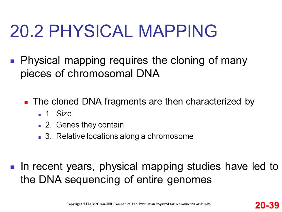 20.2 PHYSICAL MAPPING Physical mapping requires the cloning of many pieces of chromosomal DNA. The cloned DNA fragments are then characterized by.