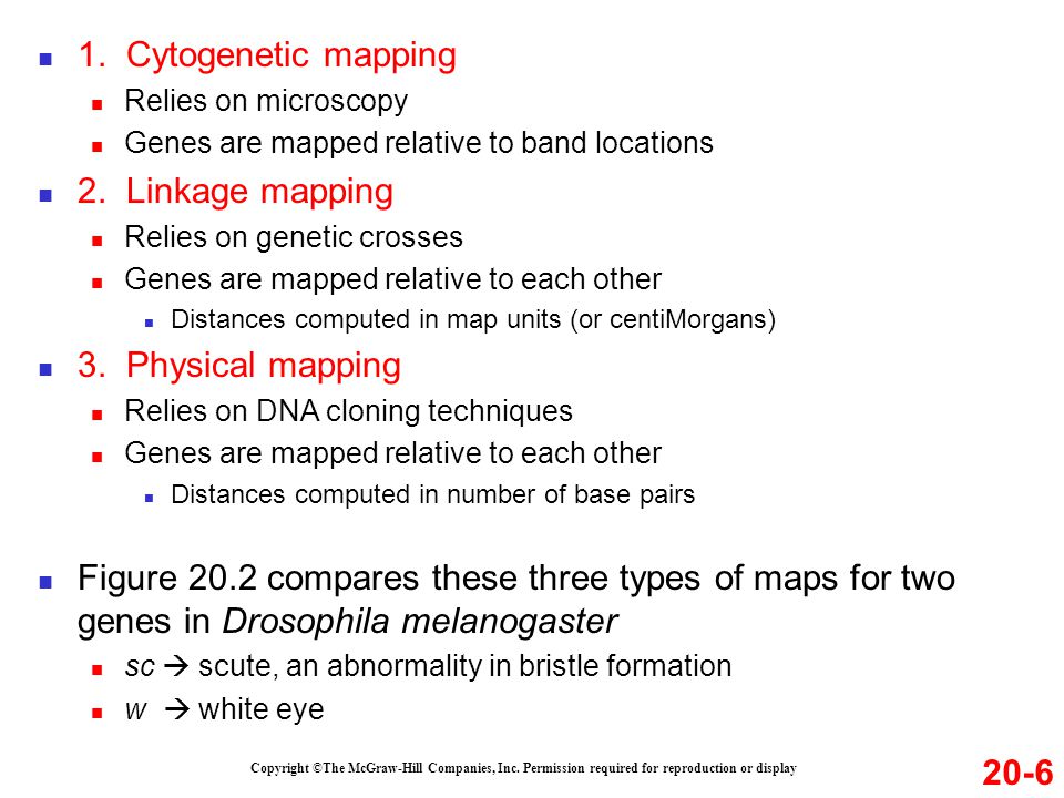 1. Cytogenetic mapping 2. Linkage mapping 3. Physical mapping