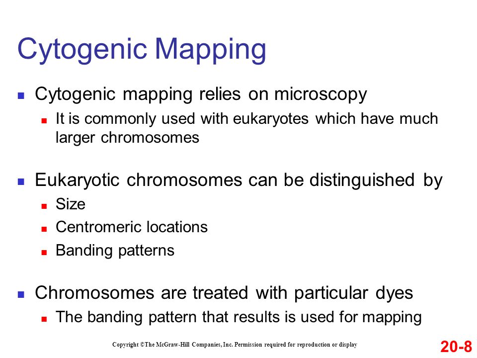 Cytogenic Mapping Cytogenic mapping relies on microscopy