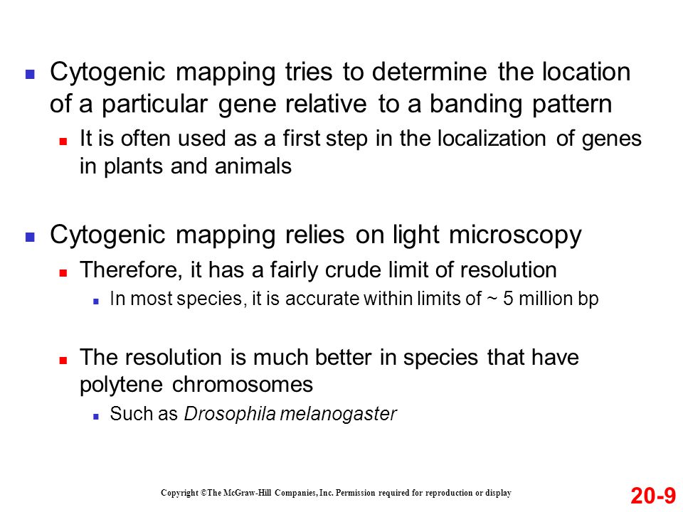 Cytogenic mapping relies on light microscopy