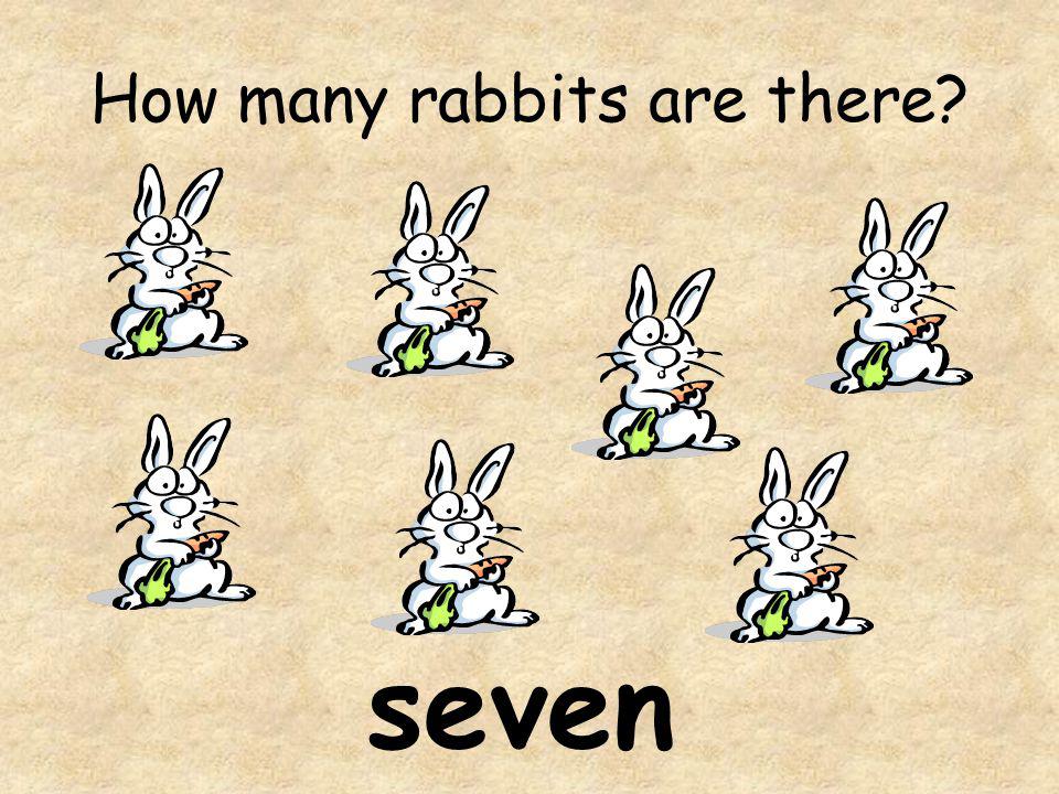 Rabbits have got long. Rabbit карточка на английском. How many картинки. Кролик English. How many Rabbits.