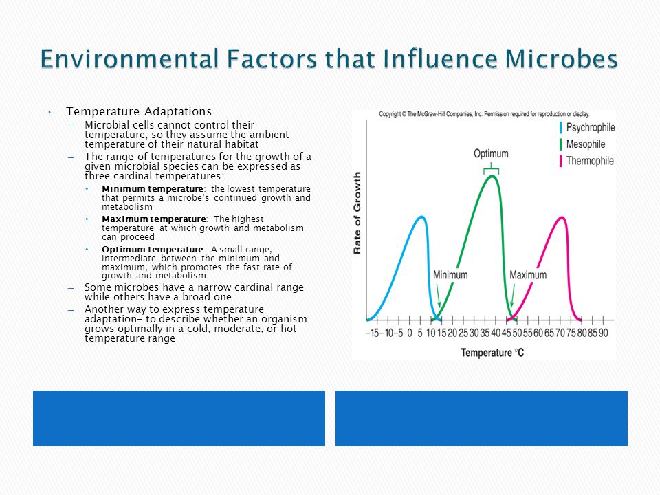 environmental factors affecting microbial growth