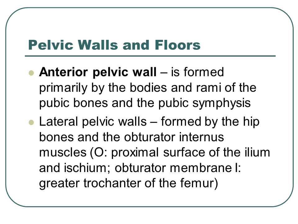 Pelvic Walls and Floors