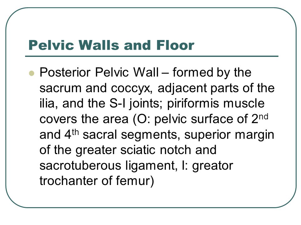Pelvic Walls and Floor