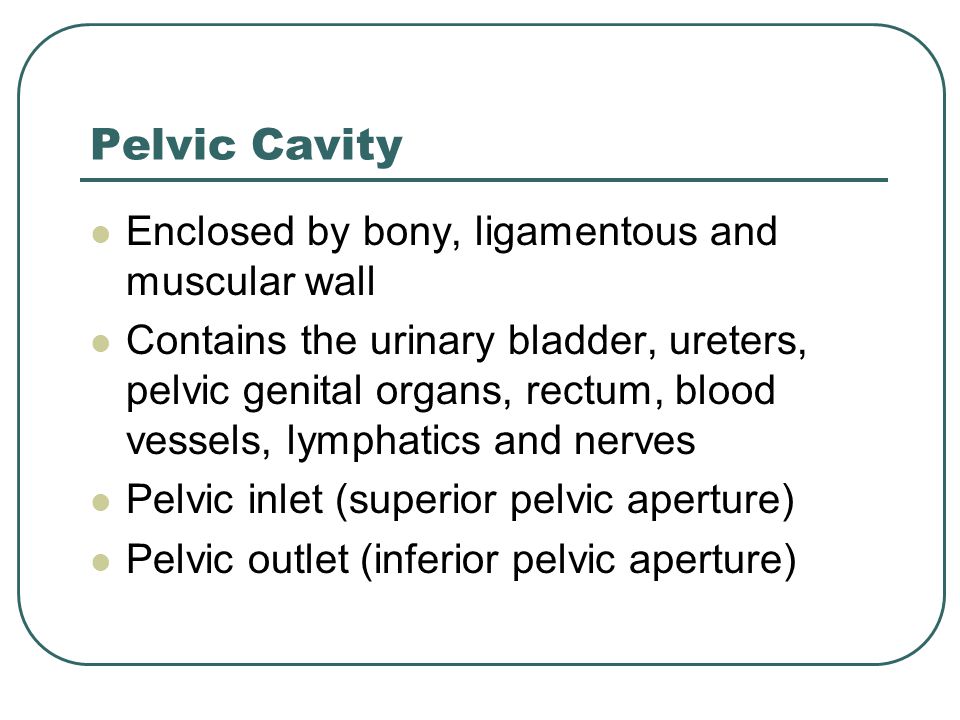 Pelvic Cavity Enclosed by bony, ligamentous and muscular wall