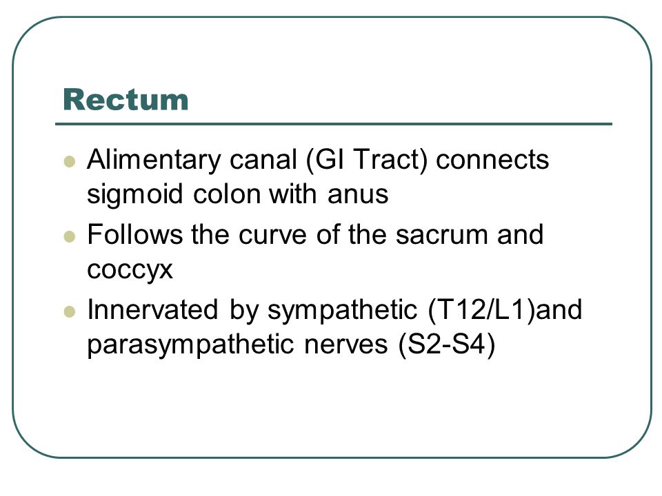 Rectum Alimentary canal (GI Tract) connects sigmoid colon with anus